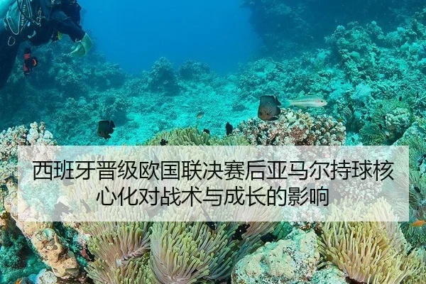西班牙晋级欧国联决赛后亚马尔持球核心化对战术与成长的影响